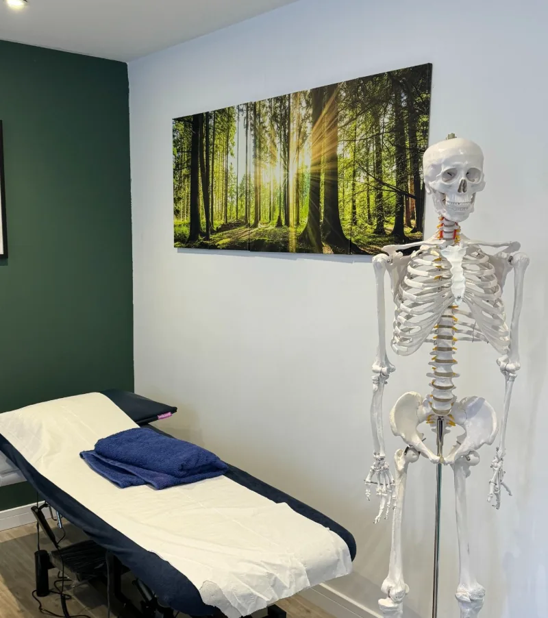 Treatment room with anatomical model at BetterMe Physiotherapy